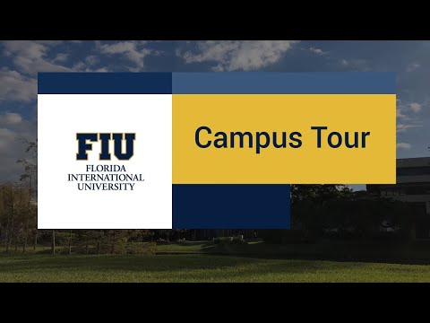 ቪዲዮ: በ ውስጥ ለ FIU ሪፖርት እንዴት እንደሚያቀርቡ