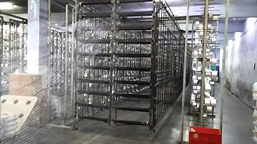 Creeling & Warping of Sizing Process - Weaving Preparatory Process