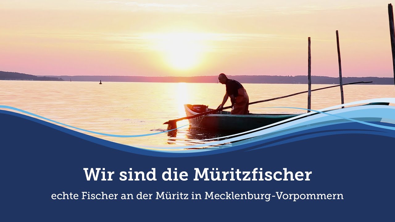 everclean katzenstreu EVERCLEAN splbares Katzenstreu
