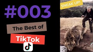 The Best of TikTok 003 compilation