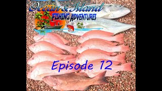 Nannygai catch and cook Great Barrier Reef Australia by Ocean & Island Fishing Adventures