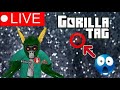 Gorilla tag LIVE WITH VIEWERS! ROAD TO 3K!
