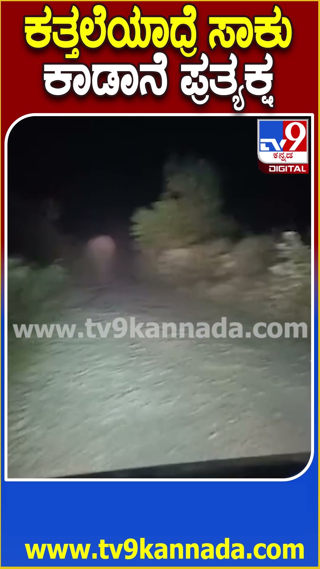 ಕತ್ತಲೆಯಾದ್ರೆ ಸಾಕು ಕಾಡಾನೆ ಪ್ರತ್ಯಕ್ಷ! #Kolar #tv9dhartiputra