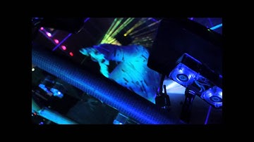 Mobius8 "The Hydra" - Powered by Pangolin