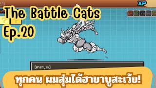 The Battle Cats Ep.20 : ผมสุ่มได้ฮายาบูสะเว้ย!!!!