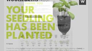 The Woolworths Living Wall - Digital Marketing Case Study