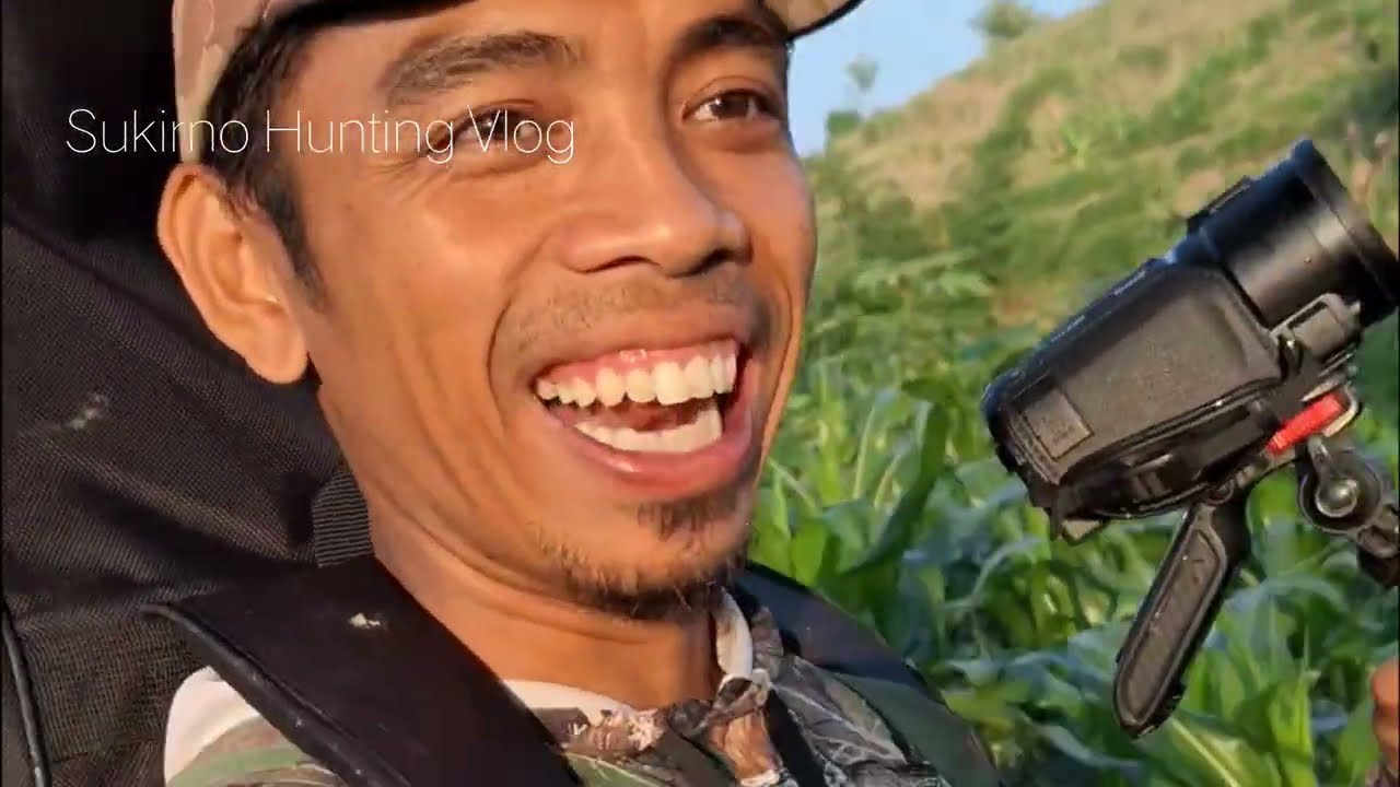 MOMEN SHOT AYAM HUTAN DI ATAS BUKIT JARAK 147 METER
