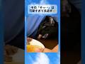 気配を消すプロ。黒猫忍者の早業w