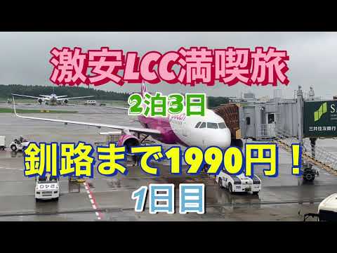 【激安LCC満喫旅】成田⇄釧路 ピーチ1990円《1日目》