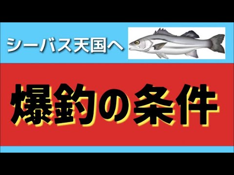 上 シーバス 爆釣 ネット