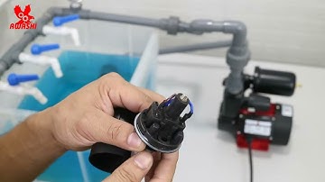 [Hướng dẫn] điều chỉnh rơ le cơ máy bơm tăng áp I Kênh Máy Bơm Nước Hà Nội