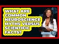 What Are Common Neuroscience Myths Versus Scientific Facts? - Psychological Clarity