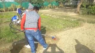 Pubert Brush Cutter -Demo