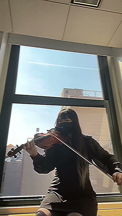 Howlโs Moving Castle - Merry-Go-Round of Life ๐ Violin Cover
