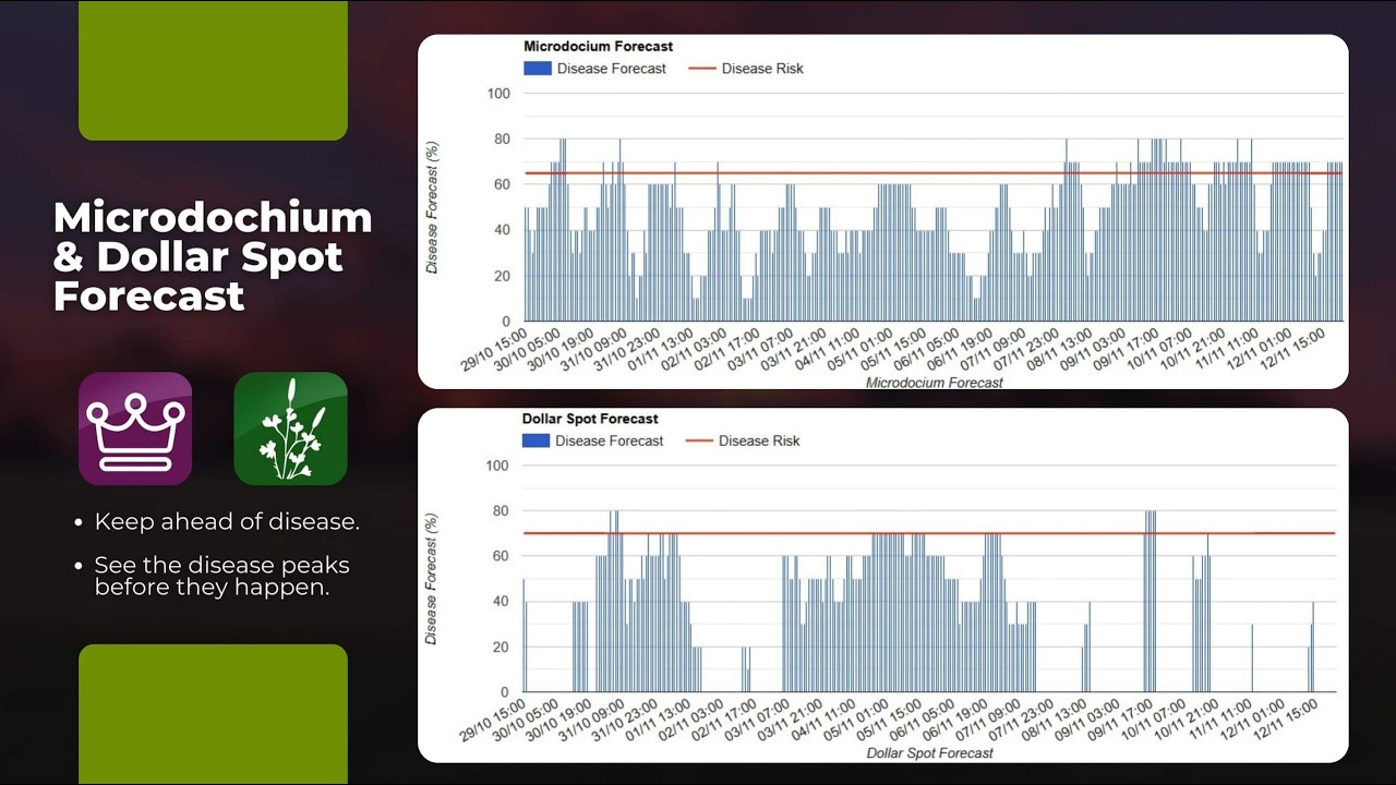 Turfing Tool @turf.tracker Disease forecast tool - YouTube