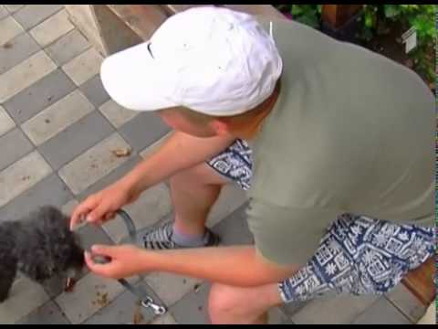 დამწვრობა ზაფხულში