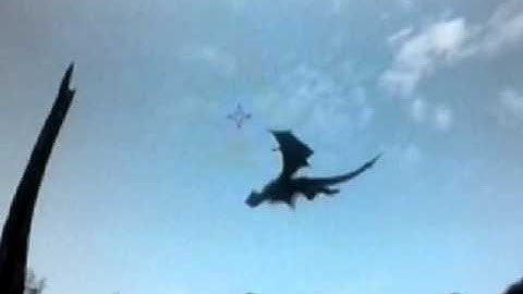 Skyrim durnehviir dragon glitch ????