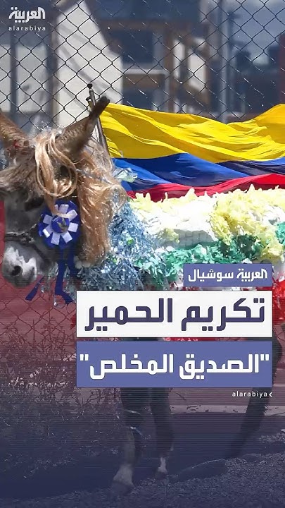          
 - نشر قبل 17 دقيقة