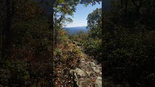 At The Summit Of Coosa Bald