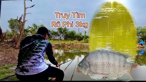 ✅: Câu Cá truy tìm cá rô phi 3kg Hồ Câu Thanh Hiếu “Củ Chi” | VinhVlog