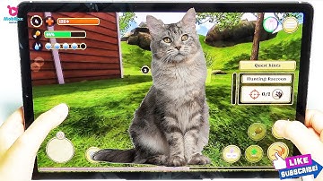 Cat Simulator 2020 Cat Sim Online Game - Play with Cat Clan Pet Simulator 2020 - Android Gameplay #3