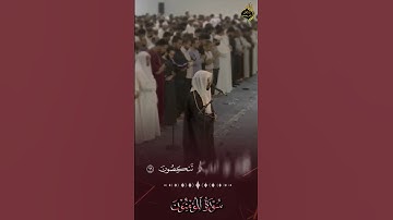 #تلاوة_خاشعة #سورة #المؤمنون #بصوت #القارئ #ياسر_الدوسري
