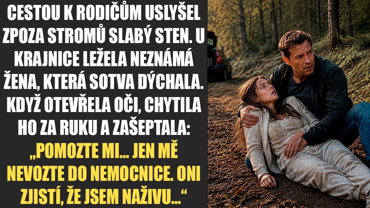 Lékárna jsem měl prázdnou pneumatiku a ticho kolem dokola. Noc byla studená a já čekal, že to bude jen obyčejný defekt. Jenže z lesa se ozval zvuk, který se nedal splést s větrem. Lidský sten....