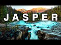 8 must see stops in jasper national park  glaciers wildlife  waterfalls