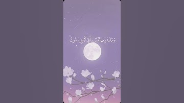 [ سورة_لقمان ]القارئ أحمد خضر#اكسبلور