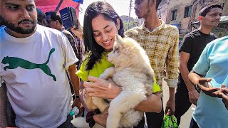 Cheap Price Dog In Kolkata | Gallif Street Pet Market Kolkata | Recent Dog Puppy Price Update | Dogs by Curious Calcutta 812 views 2 months ago 18 minutes