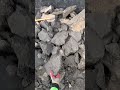 Lil dump #work #meta #metaglasses #concrete #construction #landscaping #diy #asphalt