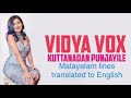 Vidya vox kuttanadan punchayile lyrics with malayalam lines translated