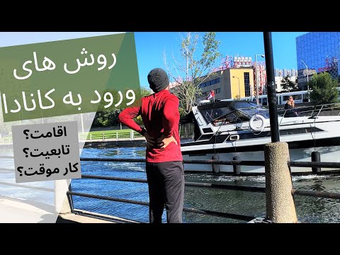 تصویری: ایالات متحده محدودیت های ویزا را علیه تاجران غیرقانونی چوب اعمال می کند