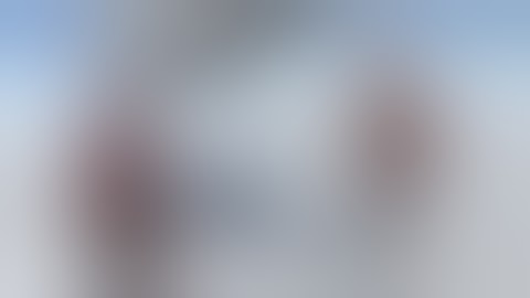 Unity gore system test0