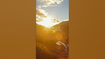سورة القصص #islamic_video #muslim #reels #foryoupage #foryou #best  #quran #islam #fypシ #deen #قرآن