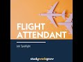 Flight Attendant