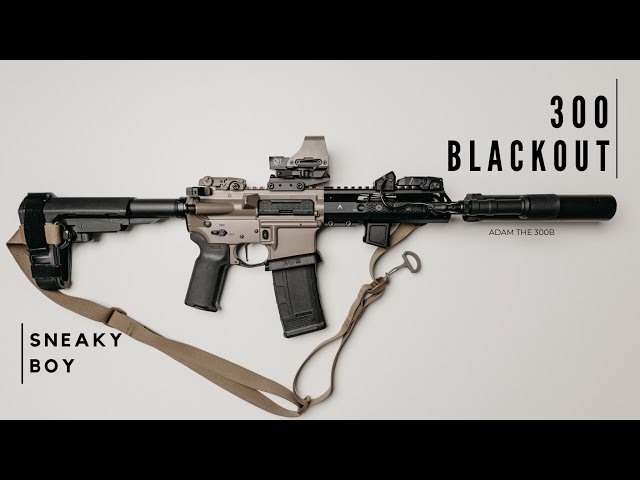 300 AAC Blackout : The Quietest Gun I Own class=