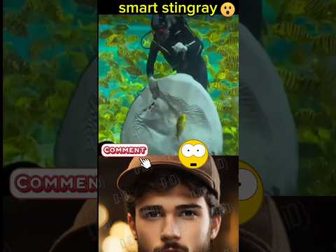     سمكة الراي تحاصر سمكة و تلتهمها أمام العامل هذا من صنعه أم حادث 