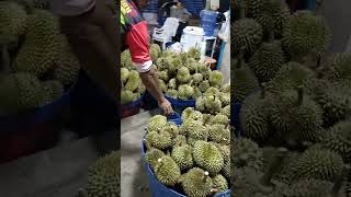 ไปซื้อทุเรียนหมอนทองที่ไหนดี Where should I go to buy Monthong durian?