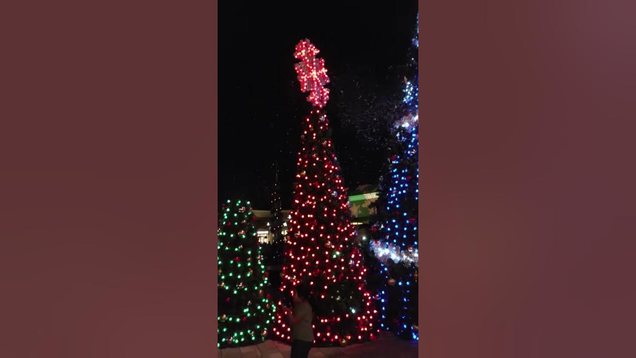 Christmas lights at Wiregrass Mall Tampa YouTube