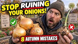 Stop Ruining Your Onions! 8 Autumn Planting Mistakes Almost Everyone Makes