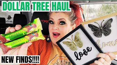 NEW DOLLAR TREE HAUL |  WISHLIST FINDS 🤩 December 11, 2025