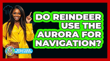 Do Reindeer Use The Aurora For Navigation? - Weather Watchdog
