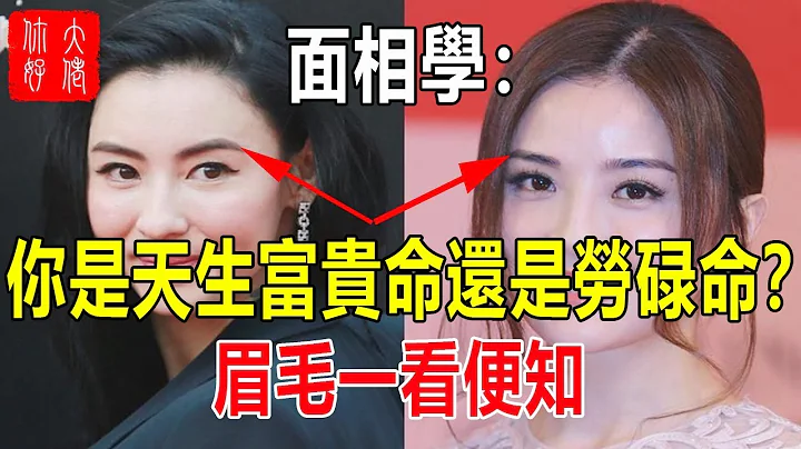 面相学：你是天生富贵命，还是劳碌命？眉毛一看便知 - 天天要闻