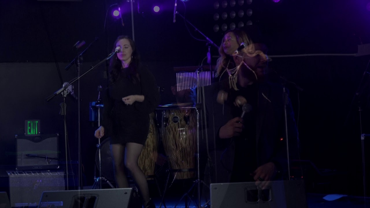 FM - A Tribute To Steely Dan / Peg