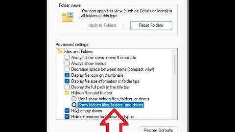 How To Show Hidden Folders and Files and Drives In Windows 11