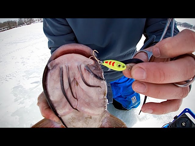 Ice Fishing for Channel Catfish - How to Catch (What to Use) 