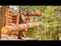 3 Million Calories, Week 1: Maple Syrup, Greenhouse Bed Expansion, Seeds | Log Cabin Building