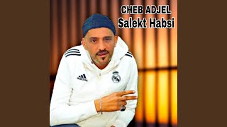 Download lagu Salekt Habsi