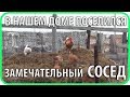 В нашем доме... Начало домашнего птицеводства (куры) // Чайники в Деревне. Выпуск №100